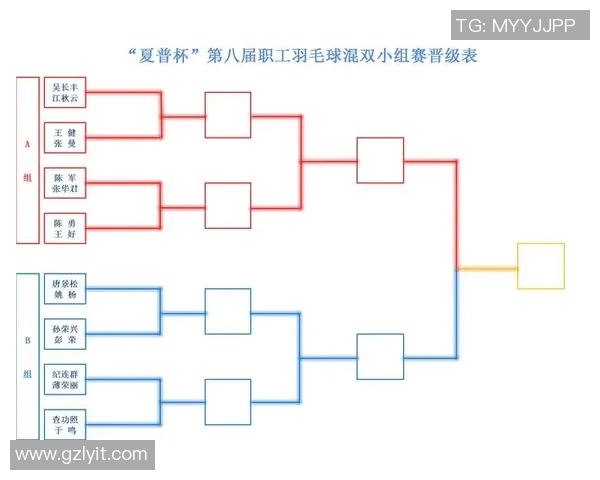 南京羽毛球队在联合会杯中的战术分析与表现评估 南京羽毛球队在联合会杯中的战术分析与表现评估