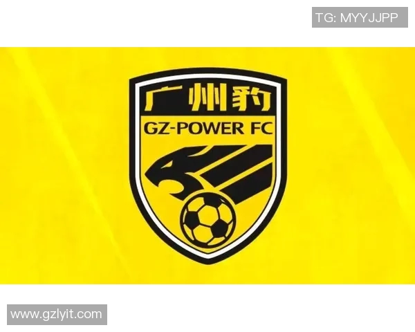 广州足球队在全国锦标赛中的表现分析与未来展望 广州足球队在全国锦标赛中的表现分析与未来展望